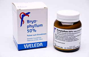 Bryophyllum Weleda